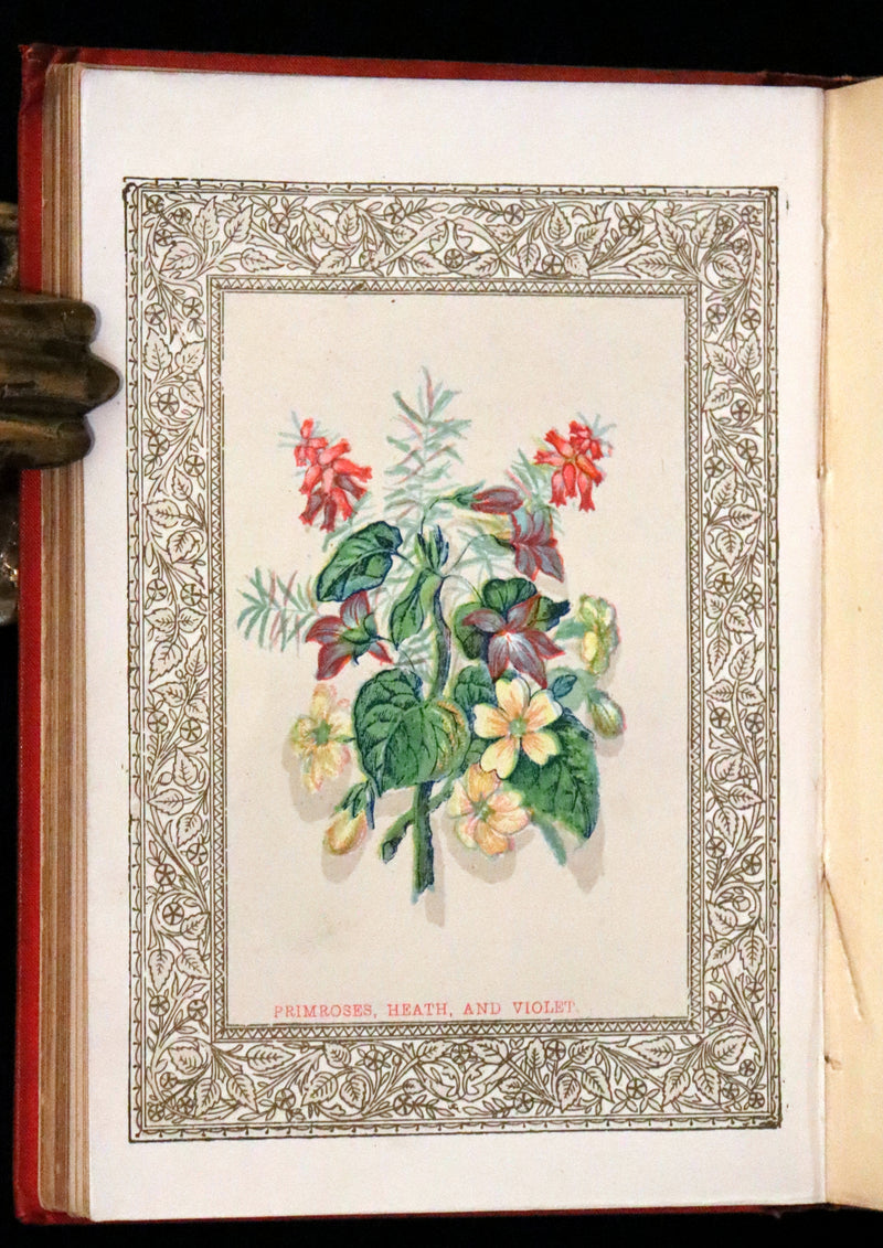 1870 Scarce Floriography Book ~ The Language of Flowers Including Floral Poetry Illustrated.