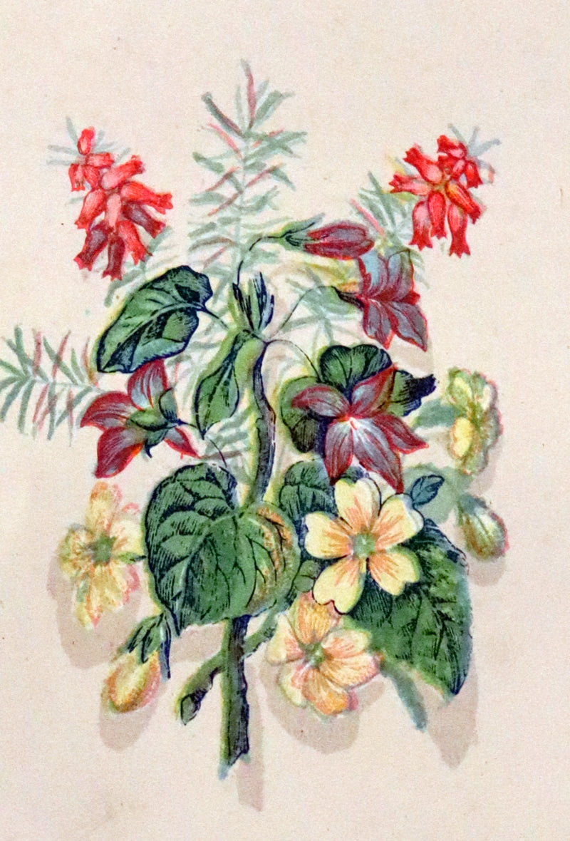 1870 Scarce Floriography Book ~ The Language of Flowers Including Floral Poetry Illustrated.