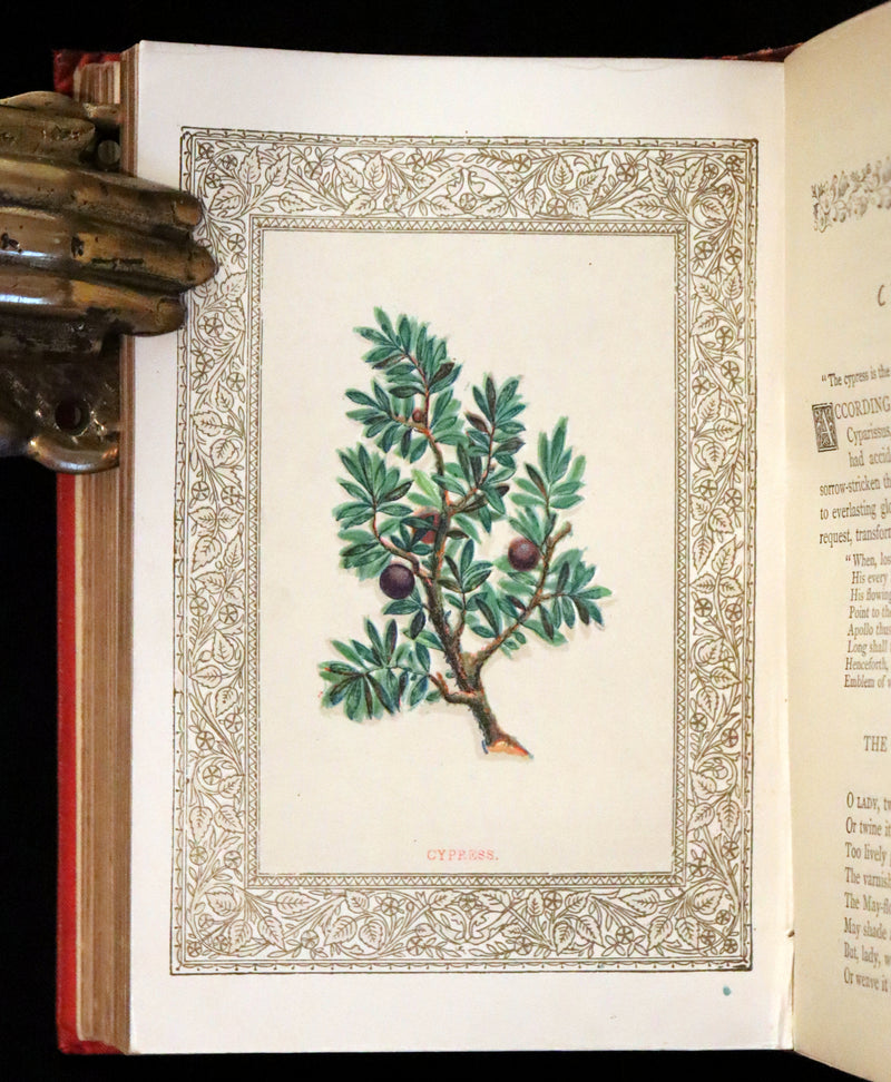 1870 Scarce Floriography Book ~ The Language of Flowers Including Floral Poetry Illustrated.