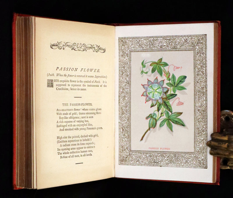 1870 Scarce Floriography Book ~ The Language of Flowers Including Floral Poetry Illustrated.