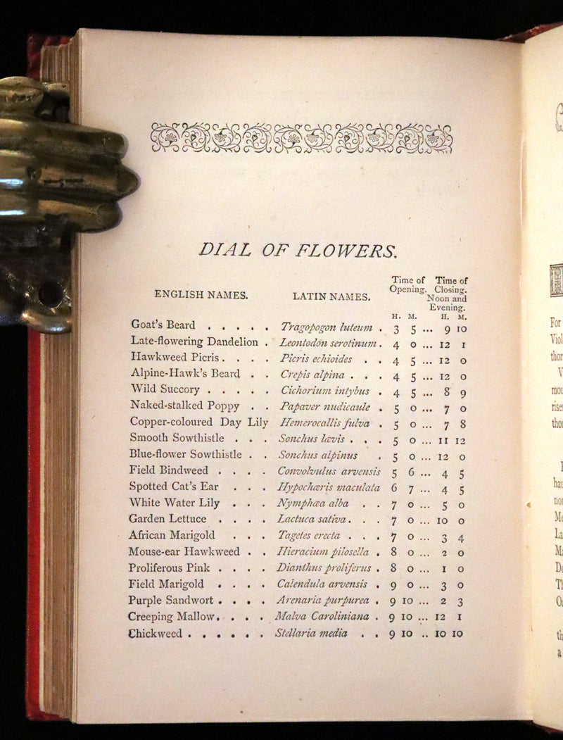 1870 Scarce Floriography Book ~ The Language of Flowers Including Floral Poetry Illustrated.