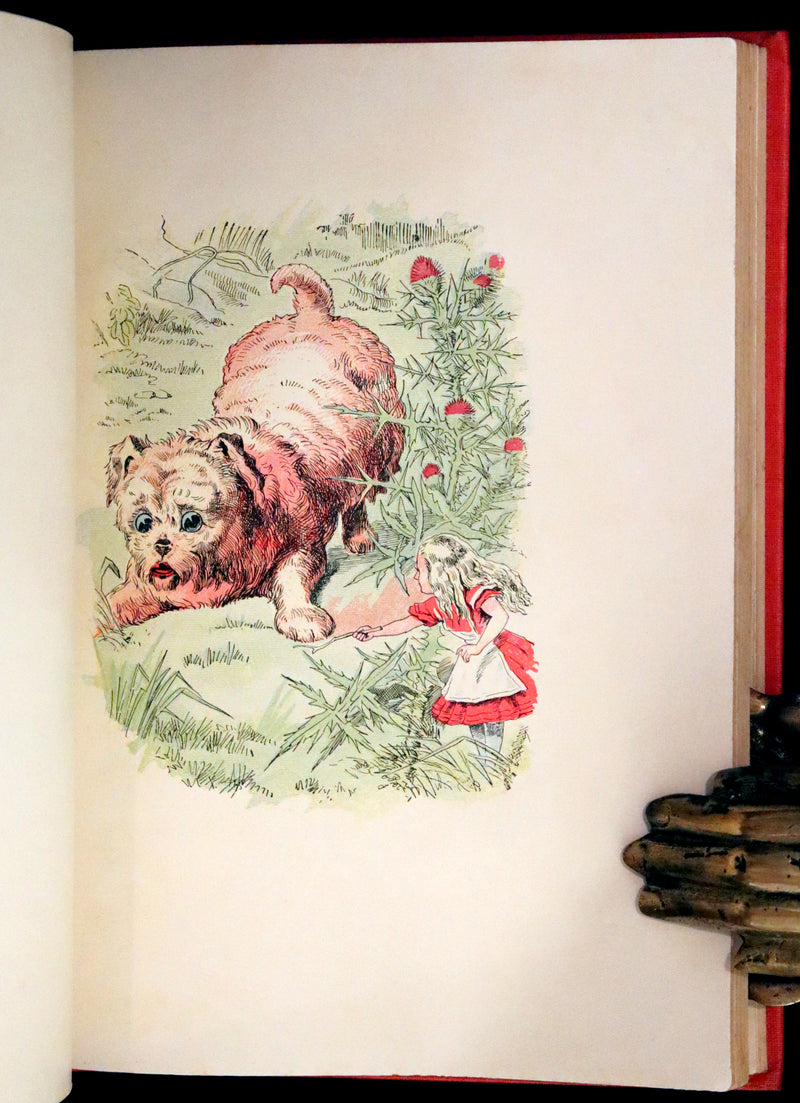 1899 Scarce Manhattan First Color Edition - Alice's Adventures in Wonderland by Lewis Carroll.
