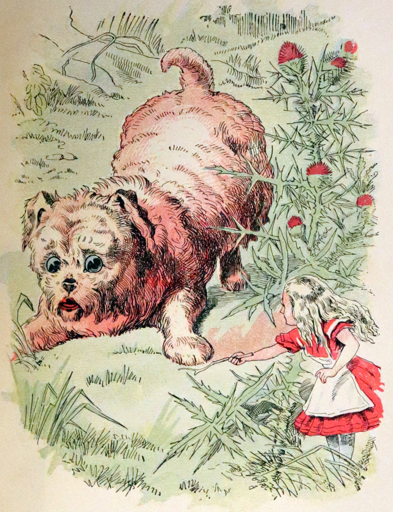 1899 Scarce Manhattan First Color Edition - Alice's Adventures in Wonderland by Lewis Carroll.