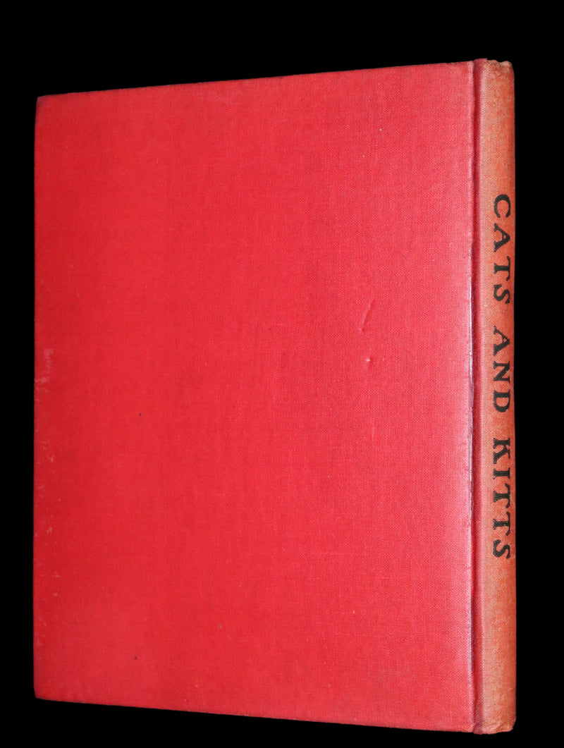 1908 Scarce First Edition - Cats and Kitts by Frances Trego Montgomery illustrated by Hugo Von Hofsten.