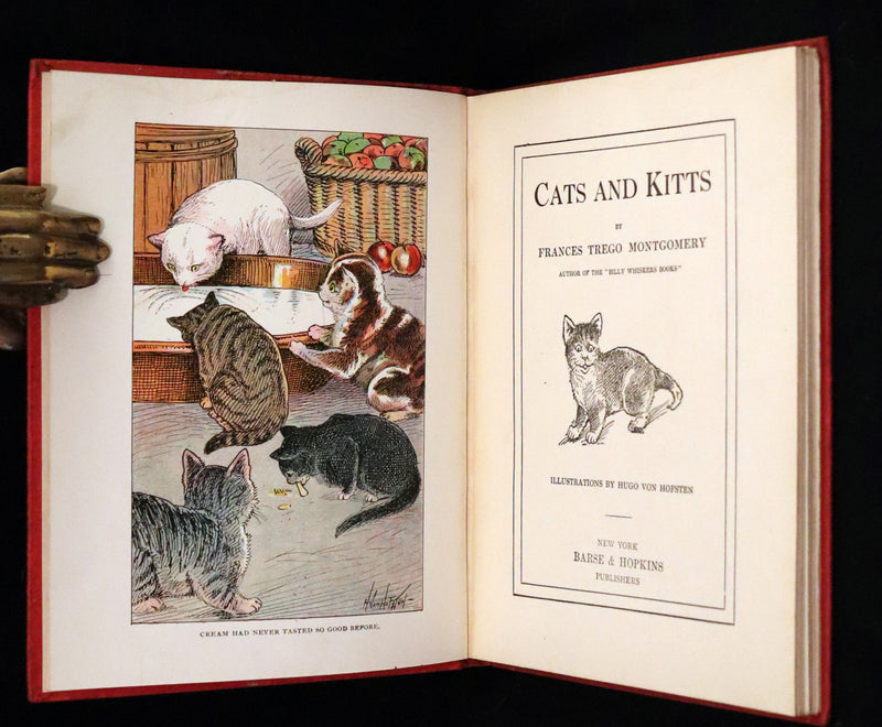 1908 Scarce First Edition - Cats and Kitts by Frances Trego Montgomery illustrated by Hugo Von Hofsten.