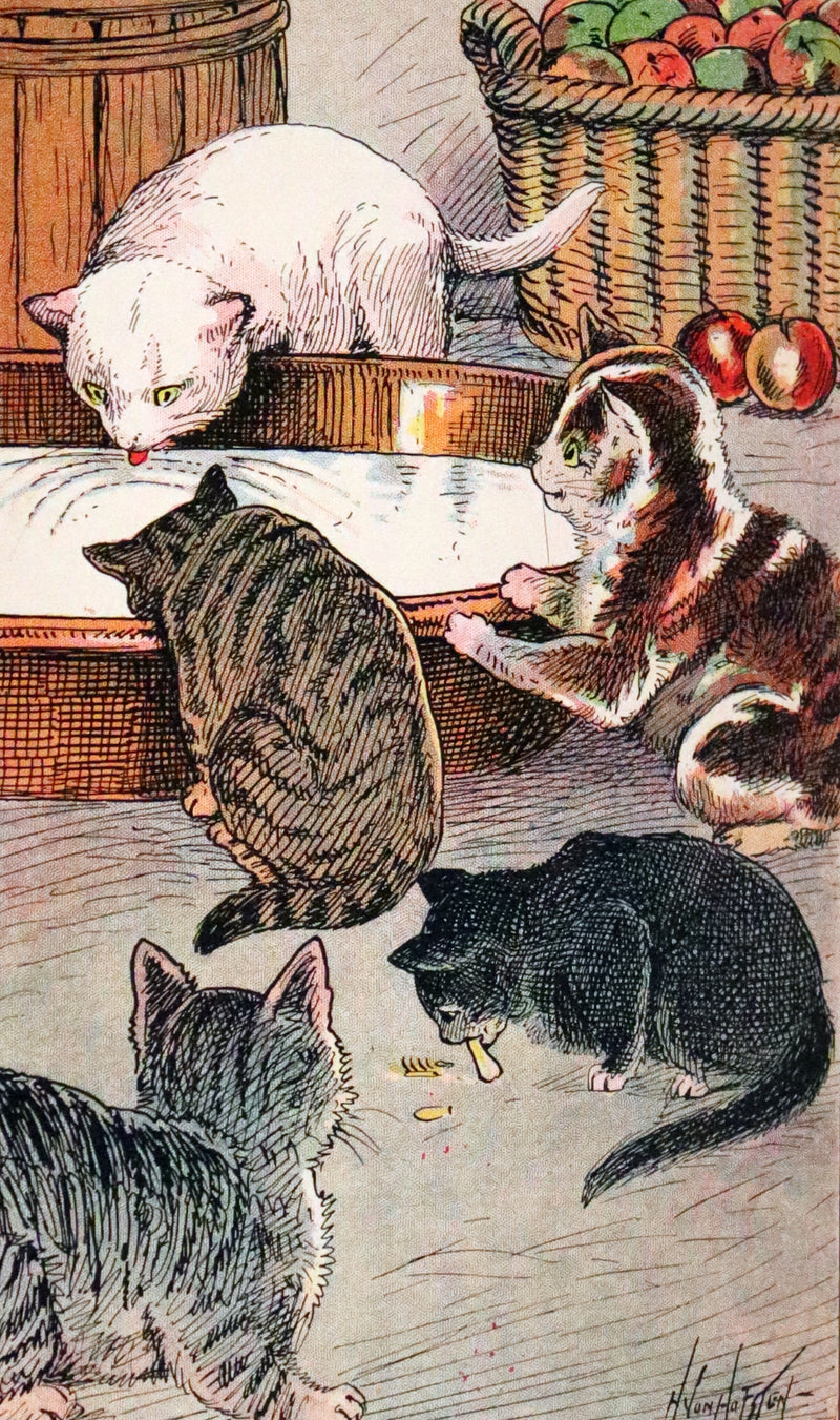 1908 Scarce First Edition - Cats and Kitts by Frances Trego Montgomery illustrated by Hugo Von Hofsten.