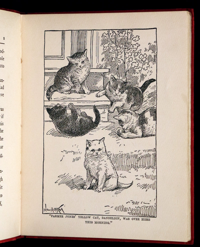 1908 Scarce First Edition - Cats and Kitts by Frances Trego Montgomery illustrated by Hugo Von Hofsten.