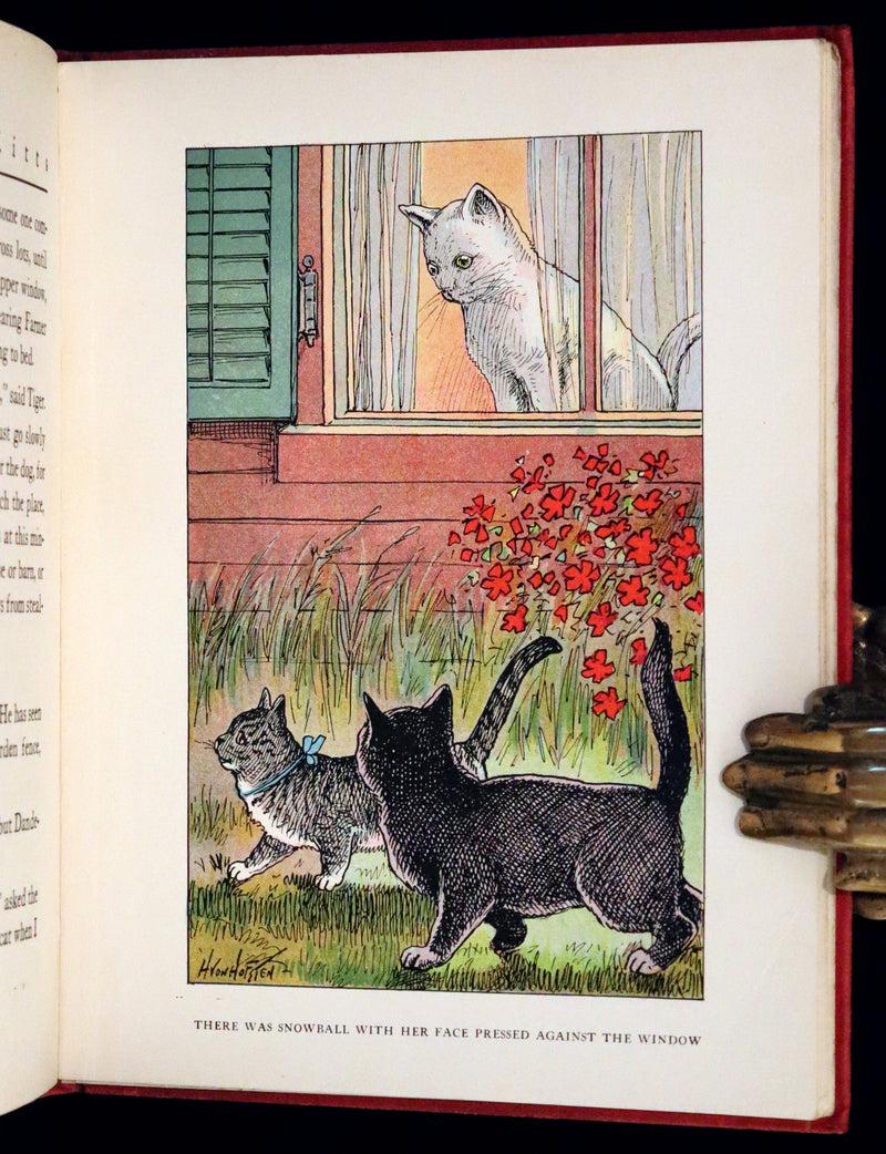 1908 Scarce First Edition - Cats and Kitts by Frances Trego Montgomery illustrated by Hugo Von Hofsten.