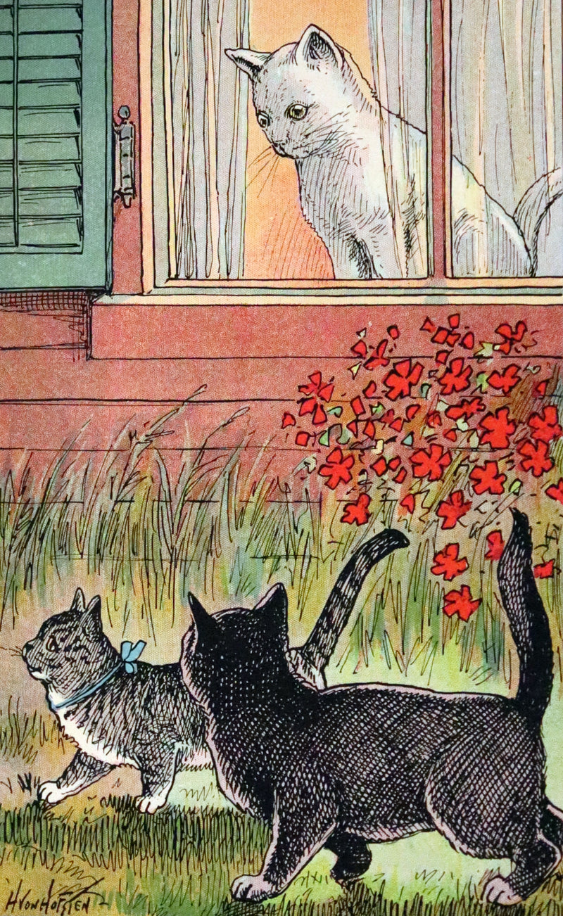 1908 Scarce First Edition - Cats and Kitts by Frances Trego Montgomery illustrated by Hugo Von Hofsten.