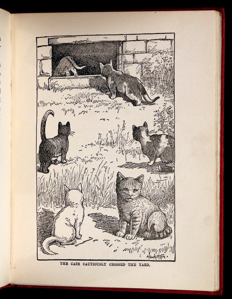 1908 Scarce First Edition - Cats and Kitts by Frances Trego Montgomery illustrated by Hugo Von Hofsten.