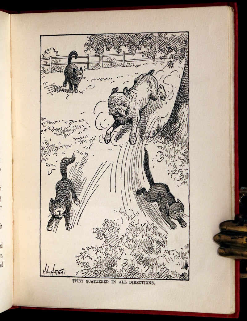 1908 Scarce First Edition - Cats and Kitts by Frances Trego Montgomery illustrated by Hugo Von Hofsten.