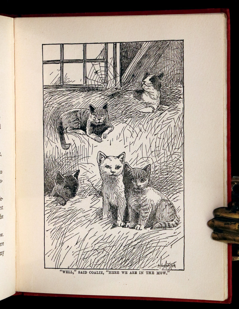 1908 Scarce First Edition - Cats and Kitts by Frances Trego Montgomery illustrated by Hugo Von Hofsten.