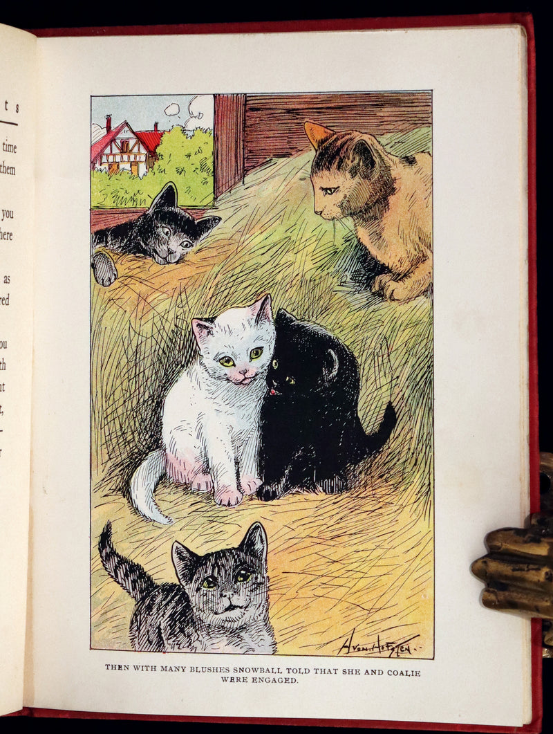1908 Scarce First Edition - Cats and Kitts by Frances Trego Montgomery illustrated by Hugo Von Hofsten.
