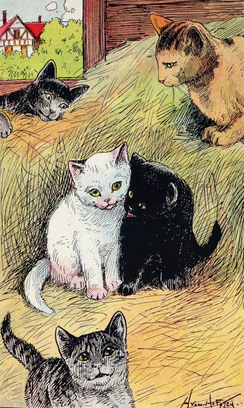 1908 Scarce First Edition - Cats and Kitts by Frances Trego Montgomery illustrated by Hugo Von Hofsten.