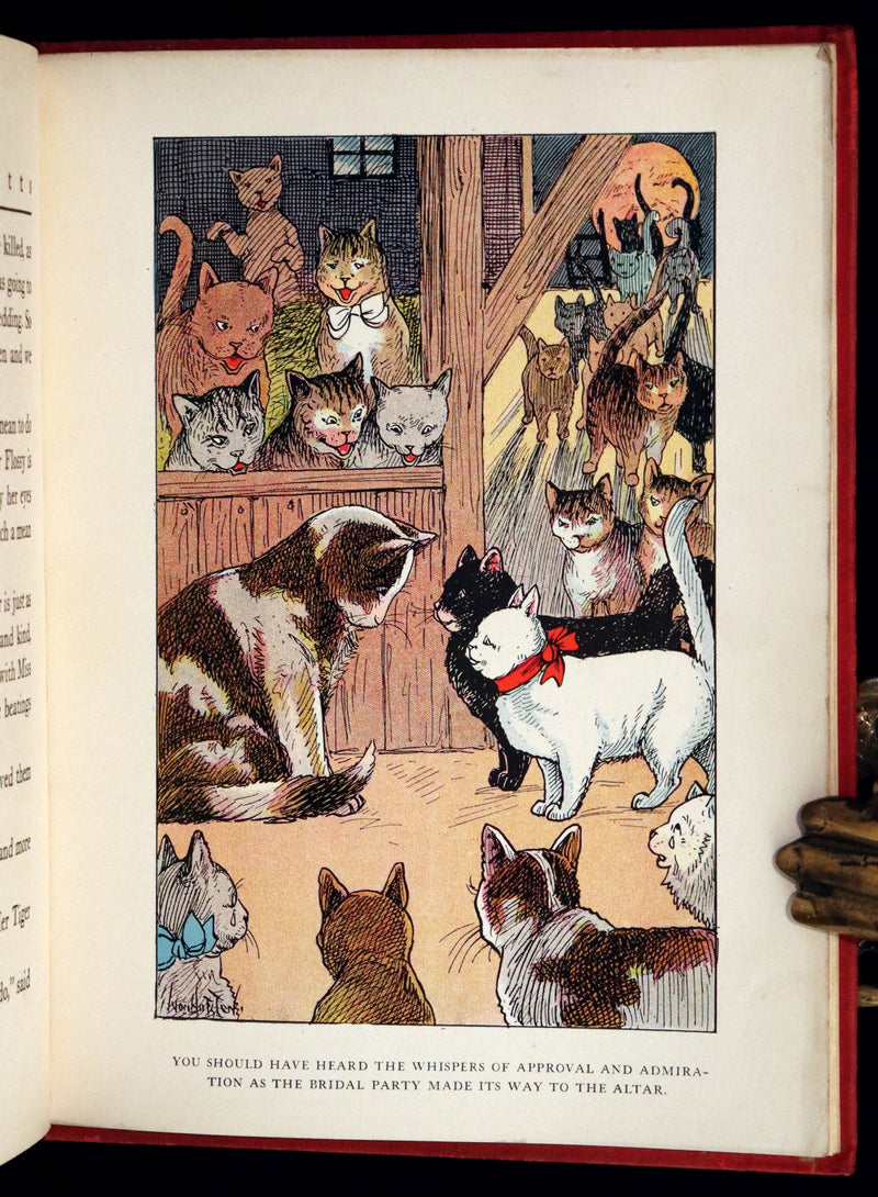 1908 Scarce First Edition - Cats and Kitts by Frances Trego Montgomery illustrated by Hugo Von Hofsten.
