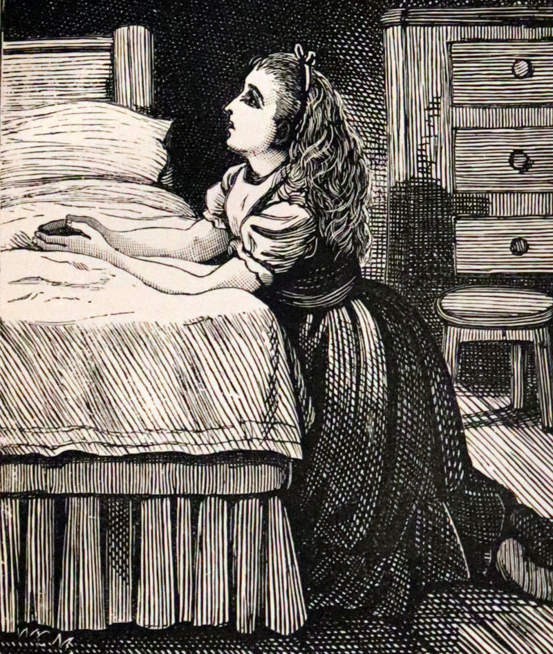 1860 Rare Victorian Book - The LAMPLIGHTER by Maria Susanna Cummins. Illustrated.