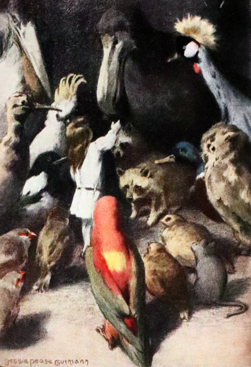 1930 Rare Book - Alice's Adventures in Wonderland Illustrated by Bessie Pease Gutmann.