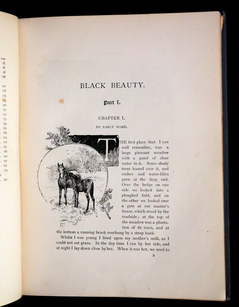 1894 Scarce First Illustrated Edition by John Beer - BLACK BEAUTY, Autobiography of a Horse by A. Sewell.