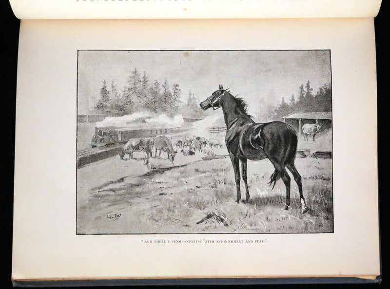 1894 Scarce First Illustrated Edition by John Beer - BLACK BEAUTY, Autobiography of a Horse by A. Sewell.