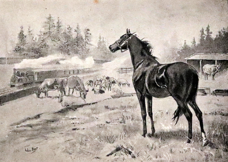 1894 Scarce First Illustrated Edition by John Beer - BLACK BEAUTY, Autobiography of a Horse by A. Sewell.