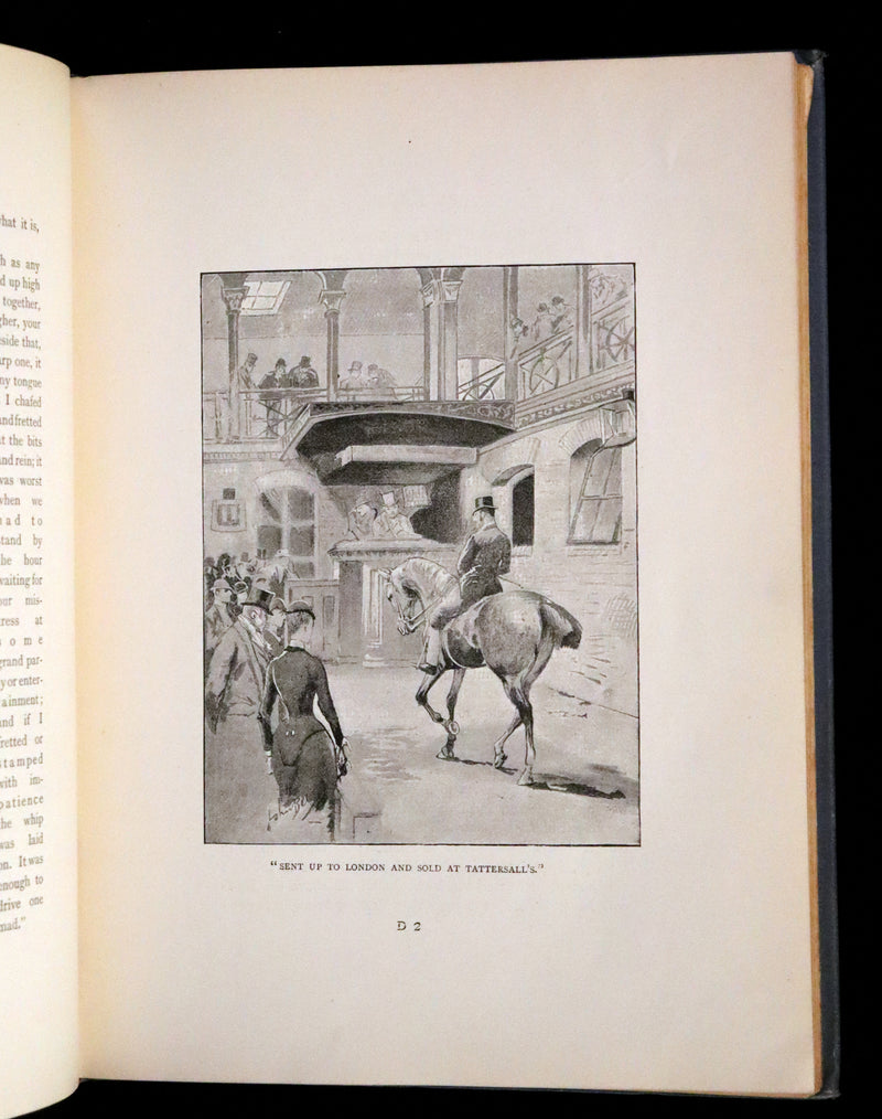 1894 Scarce First Illustrated Edition by John Beer - BLACK BEAUTY, Autobiography of a Horse by A. Sewell.