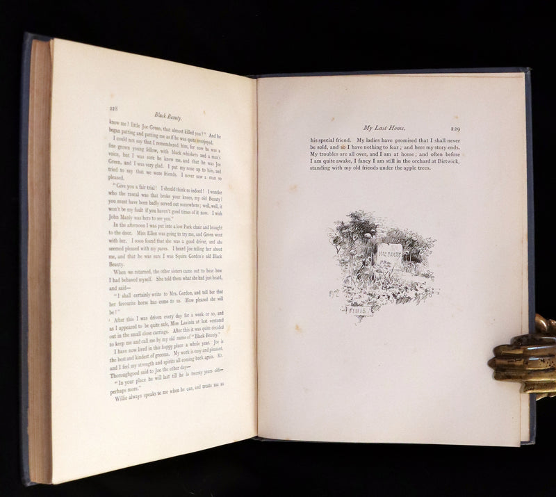 1894 Scarce First Illustrated Edition by John Beer - BLACK BEAUTY, Autobiography of a Horse by A. Sewell.