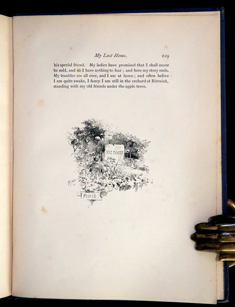 1894 Scarce First Illustrated Edition by John Beer - BLACK BEAUTY, Autobiography of a Horse by A. Sewell.