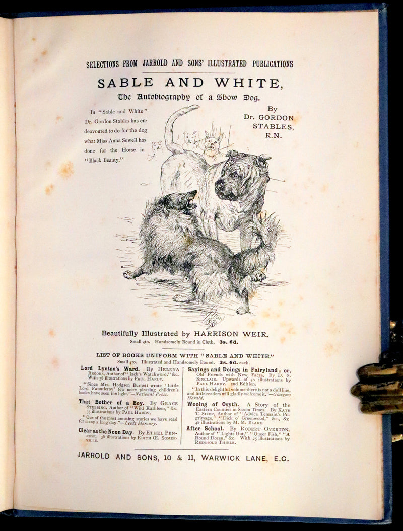 1894 Scarce First Illustrated Edition by John Beer - BLACK BEAUTY, Autobiography of a Horse by A. Sewell.