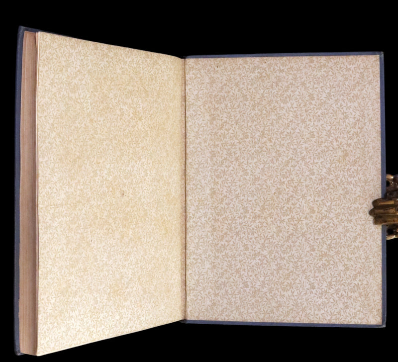 1894 Scarce First Illustrated Edition by John Beer - BLACK BEAUTY, Autobiography of a Horse by A. Sewell.