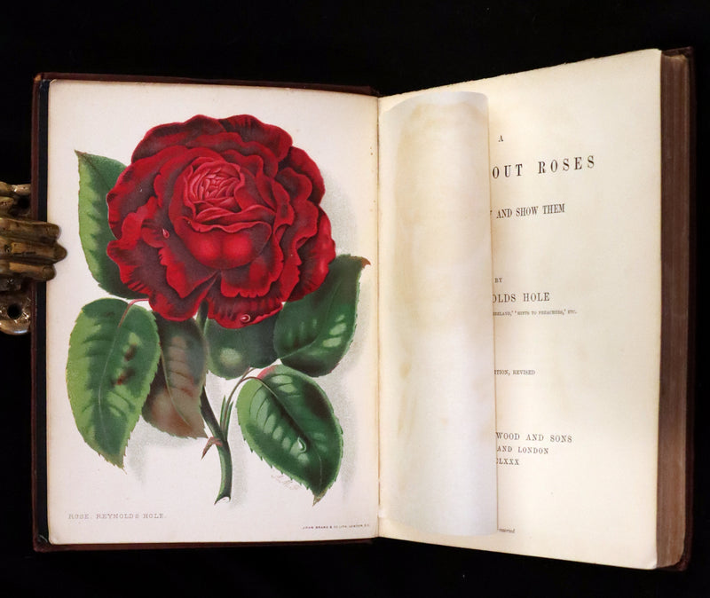 1880 Rare Victorian Gardening Book - A Book about ROSES, How to grow and show them.