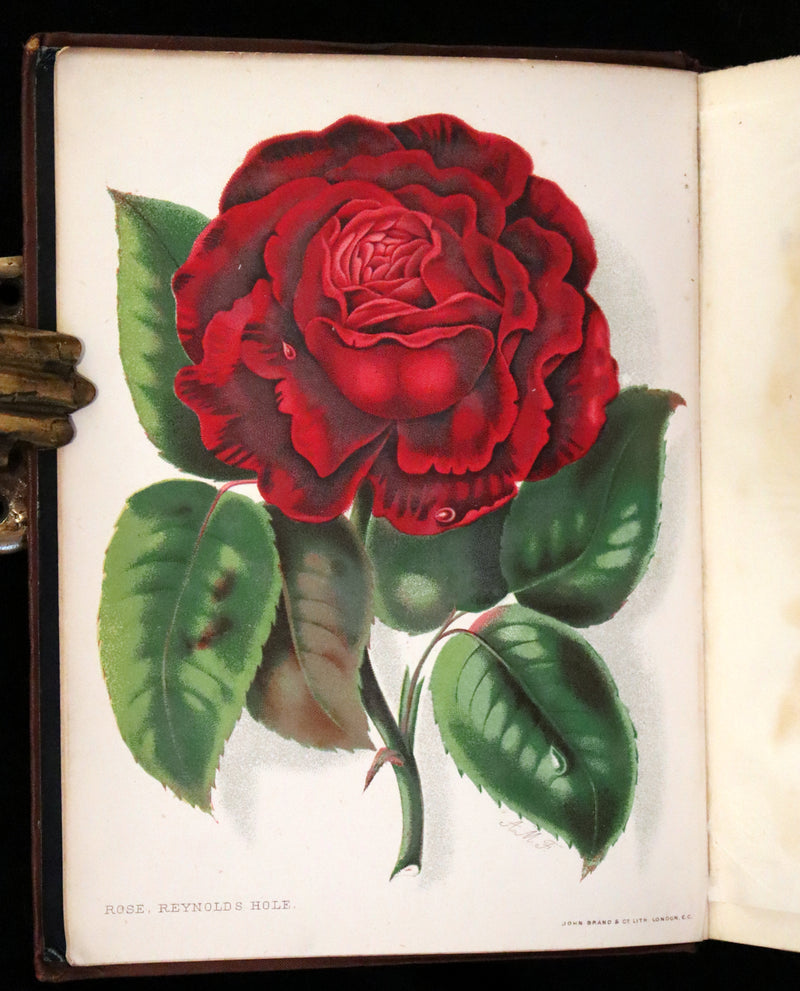 1880 Rare Victorian Gardening Book - A Book about ROSES, How to grow and show them.