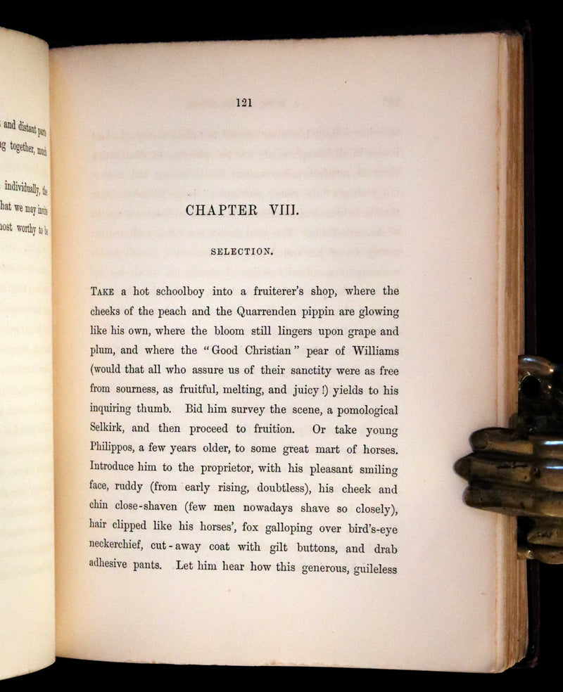 1880 Rare Victorian Gardening Book - A Book about ROSES, How to grow and show them.