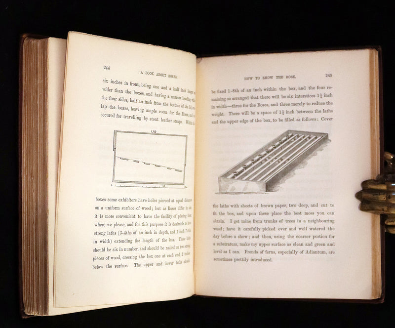 1880 Rare Victorian Gardening Book - A Book about ROSES, How to grow and show them.