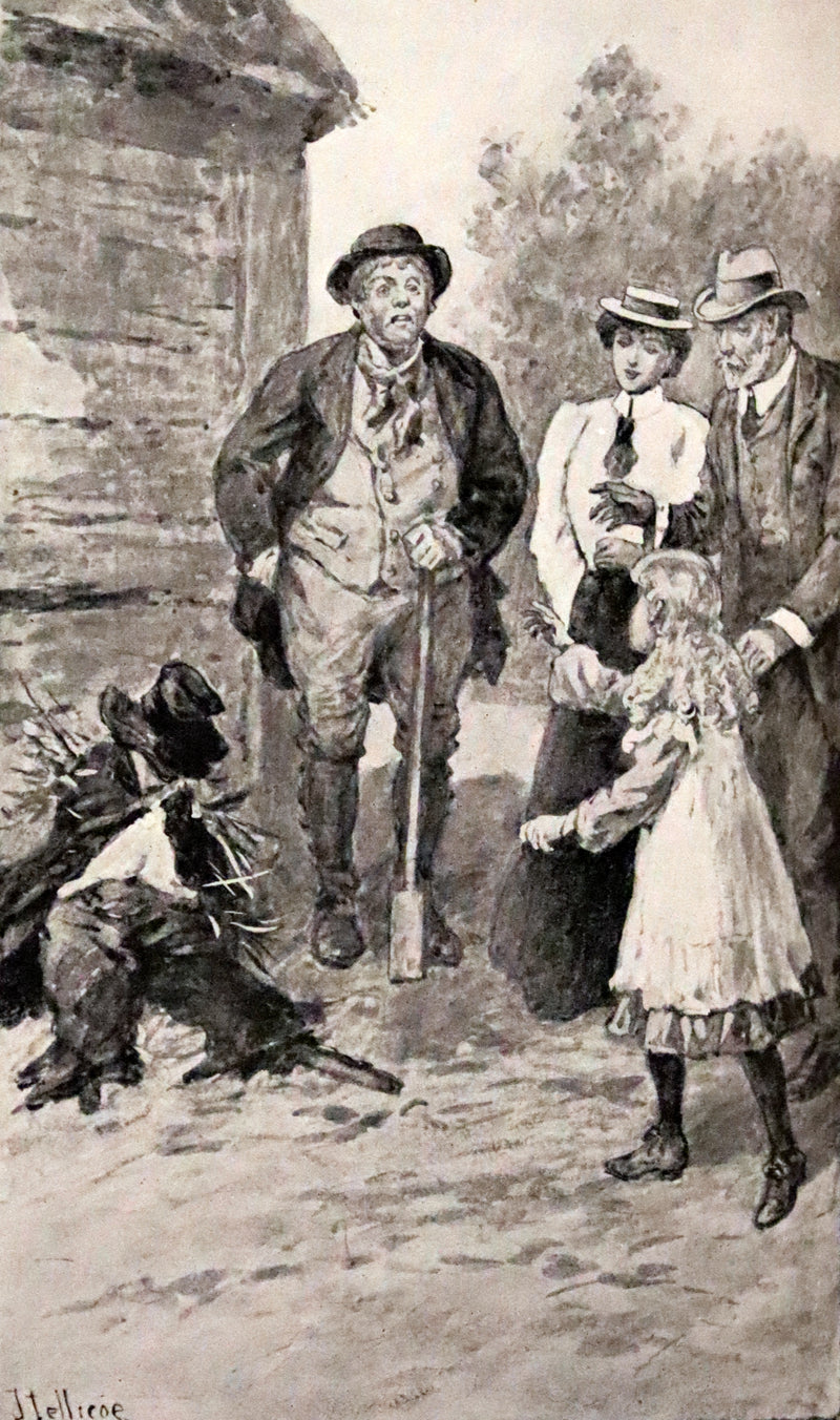 1906 Rare First Edition - The Story of a Scarecrow by Edith King Hall. Illustrated.