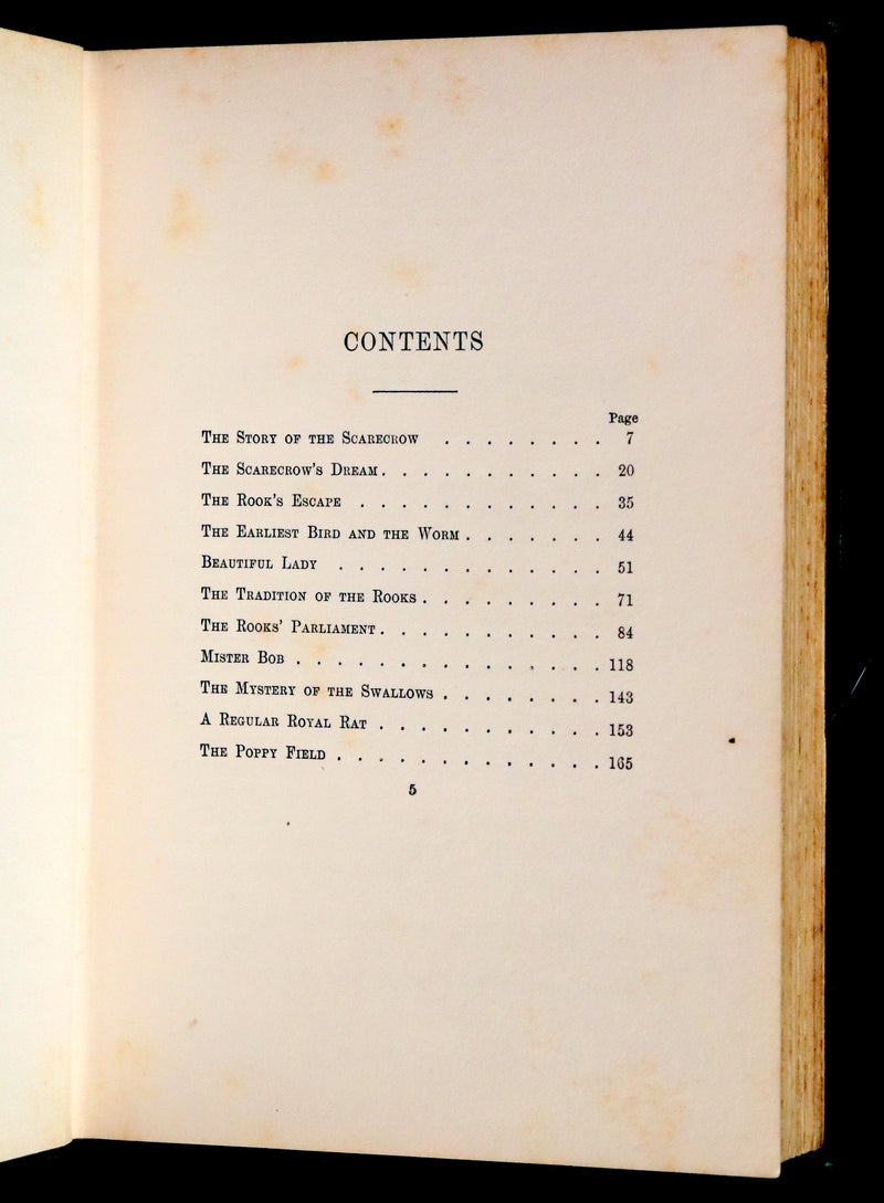 1906 Rare First Edition - The Story of a Scarecrow by Edith King Hall. Illustrated.