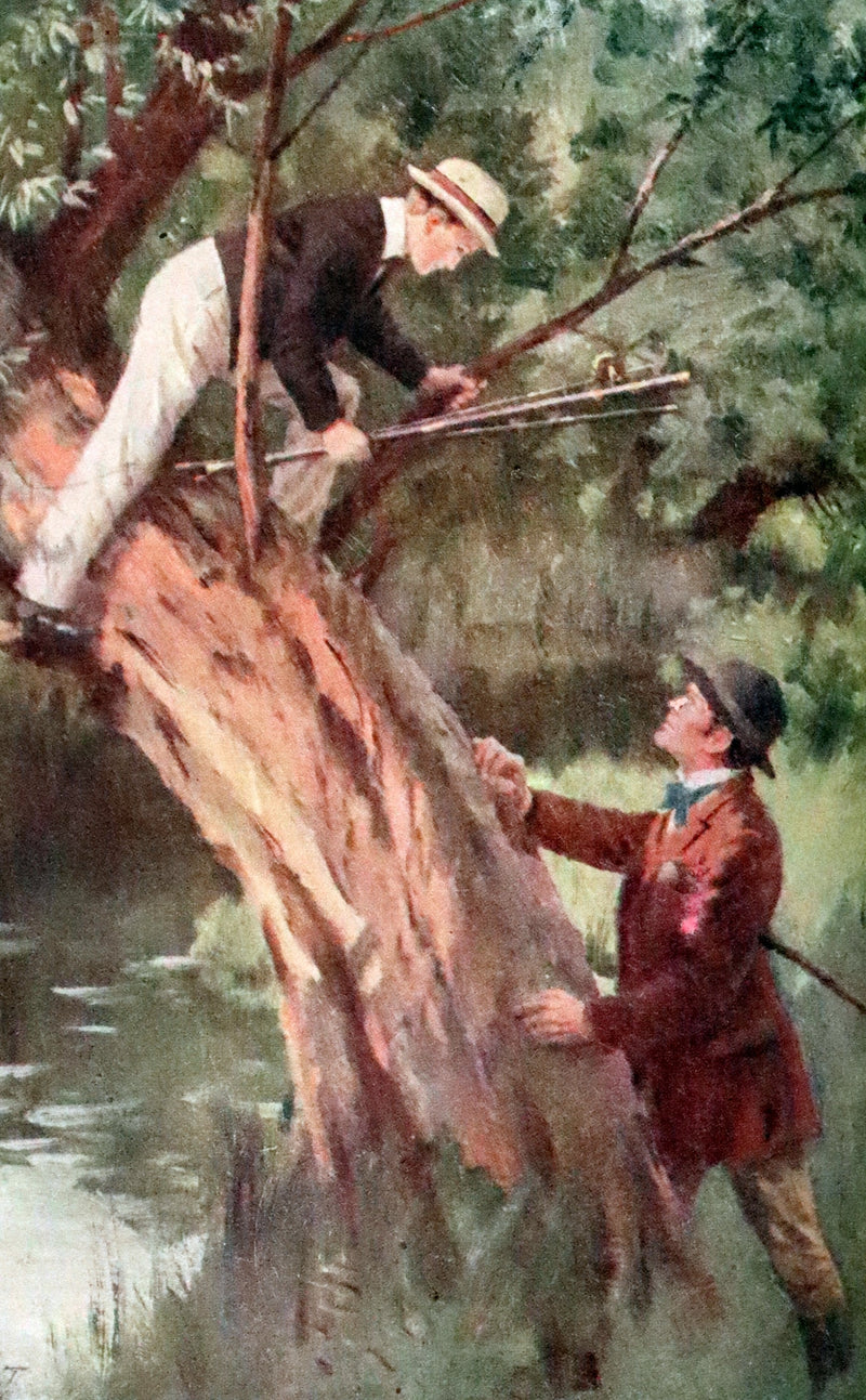 1923 Rare Book - Tom Brown's School Days illustrated by Percy Tarrant.