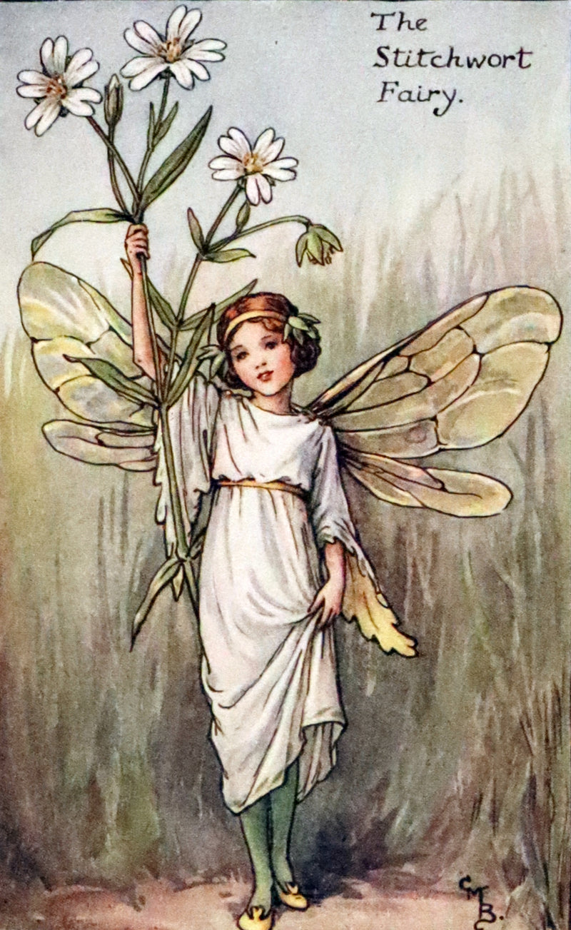 1940 Rare Book - THE BOOK OF THE FLOWER FAIRIES by Cicely Mary Barker.