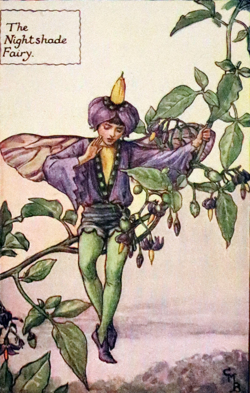1940 Rare Book - THE BOOK OF THE FLOWER FAIRIES by Cicely Mary Barker.