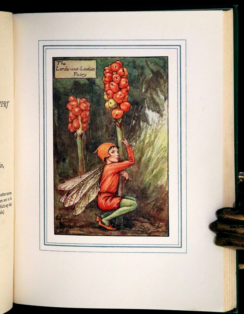1940 Rare Book - THE BOOK OF THE FLOWER FAIRIES by Cicely Mary Barker.