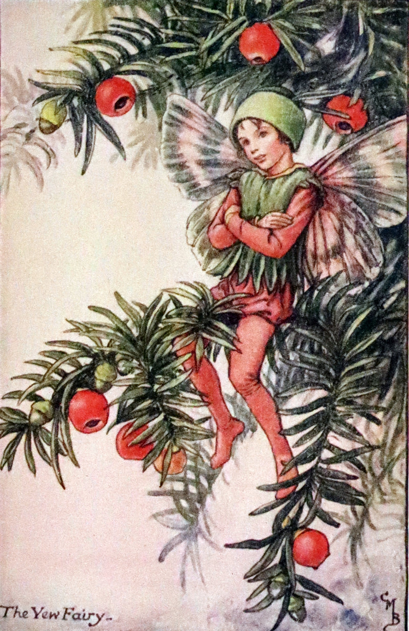 1940 Rare Book - THE BOOK OF THE FLOWER FAIRIES by Cicely Mary Barker.
