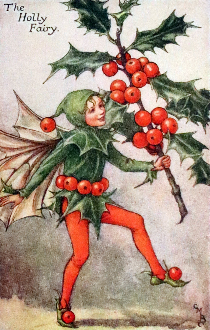 1940 Rare Book - THE BOOK OF THE FLOWER FAIRIES by Cicely Mary Barker.