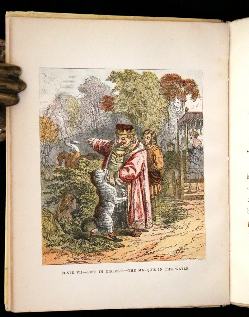 1900 Scarce First Color Edition - Puss in Boots Drawn by Otto Speckter.