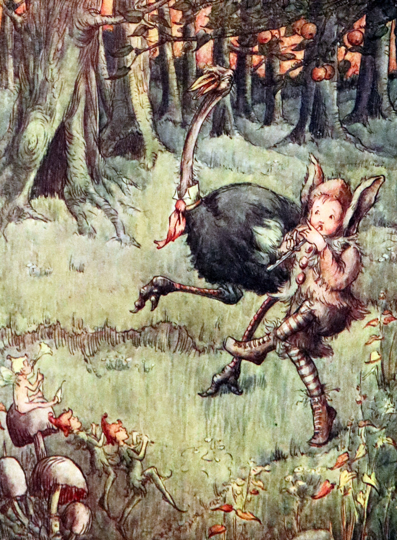1913 Rare First Edition  - Peter Pan's ABC Illustrated in Colour by Flora White.