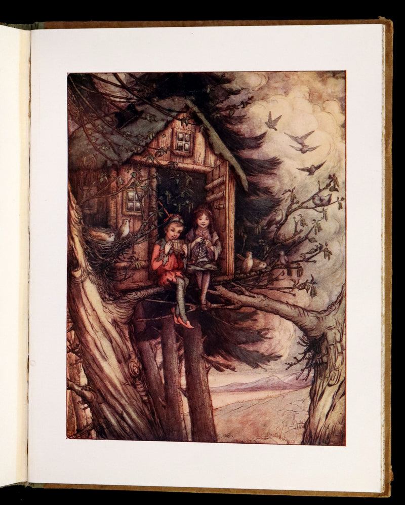 1913 Rare First Edition  - Peter Pan's ABC Illustrated in Colour by Flora White.