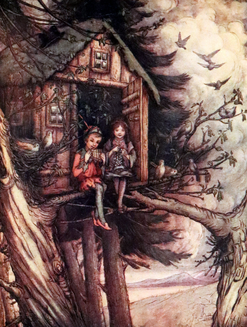 1913 Rare First Edition  - Peter Pan's ABC Illustrated in Colour by Flora White.