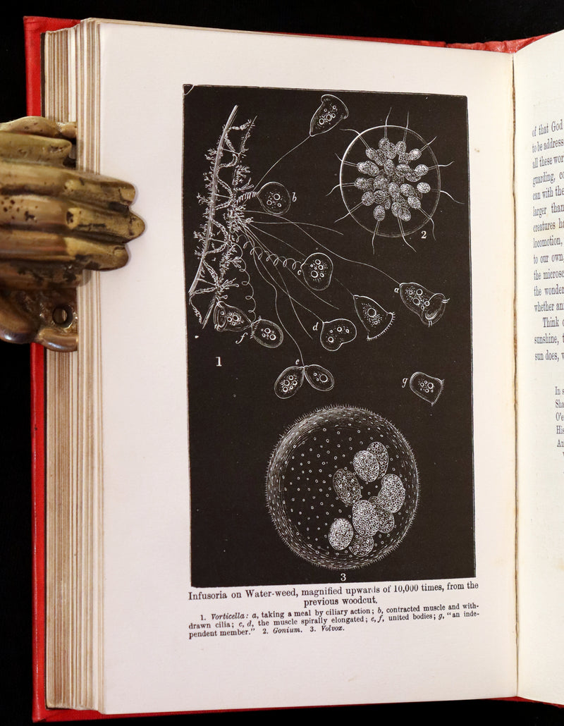 1890 Scarce Victorian Book - The Horses of the Sun, Their Mystery and Their Mission by James Crowther.