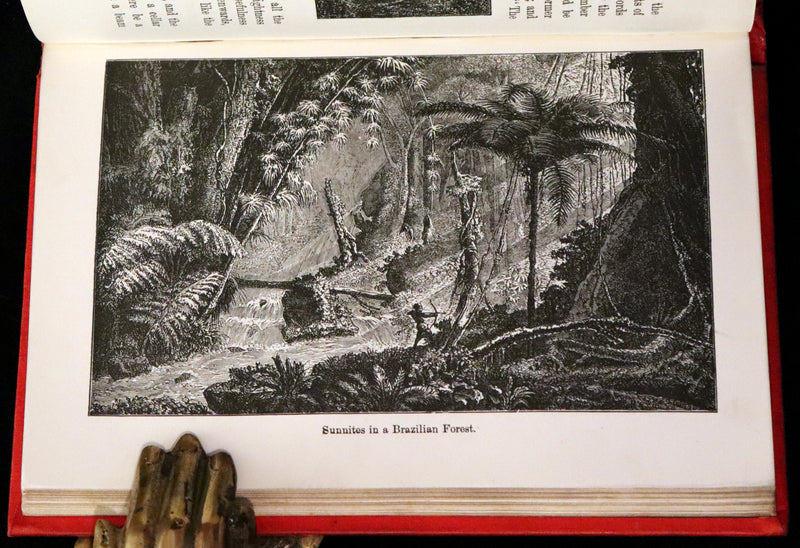 1890 Scarce Victorian Book - The Horses of the Sun, Their Mystery and Their Mission by James Crowther.