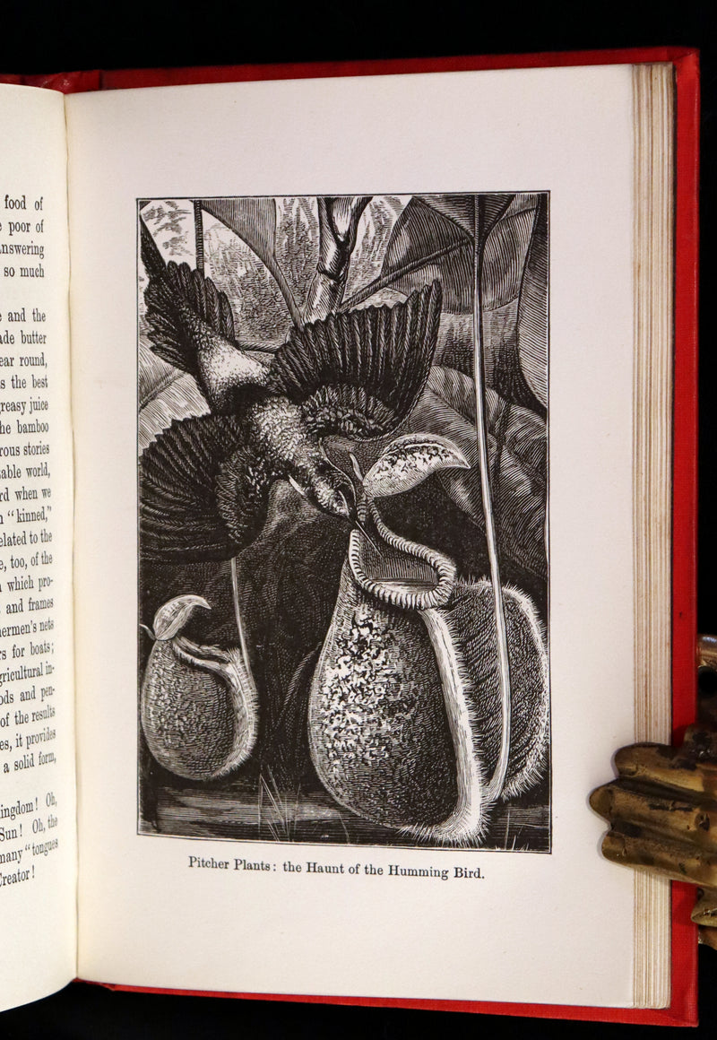 1890 Scarce Victorian Book - The Horses of the Sun, Their Mystery and Their Mission by James Crowther.