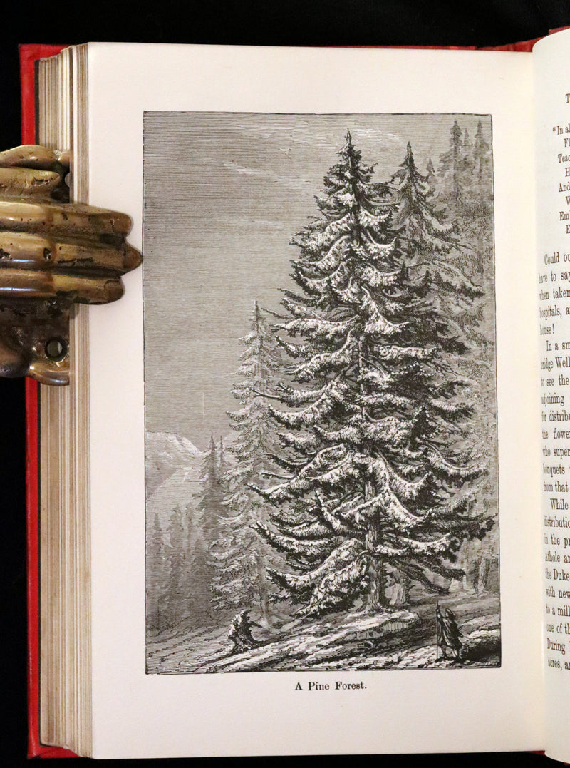 1890 Scarce Victorian Book - The Horses of the Sun, Their Mystery and Their Mission by James Crowther.