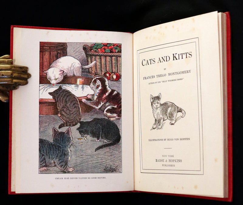 1908 Scarce 1stEd with Dust Jacket - Cats and Kitts by Frances Trego Montgomery illustrated by Hugo Von Hofsten.